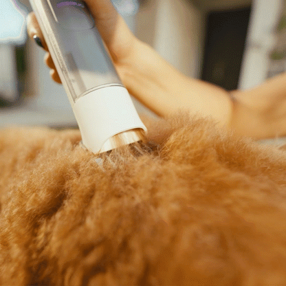 Oneisall Comfy C1 Cordless Pet Grooming Vacuum Kit