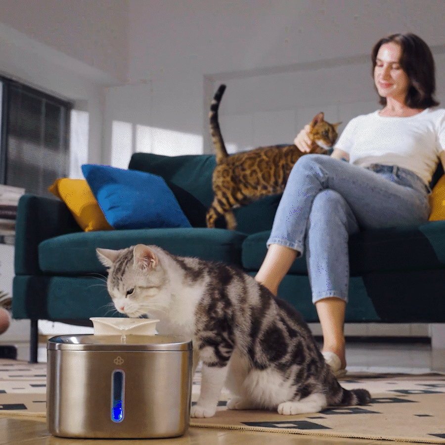 Oneisall 3.5L Corded Pet Water Fountain with 3PCS Filters