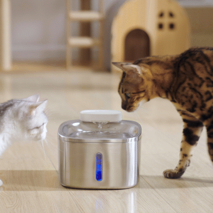 Oneisall Pet Air Purifier & Cordless Water Fountain Set