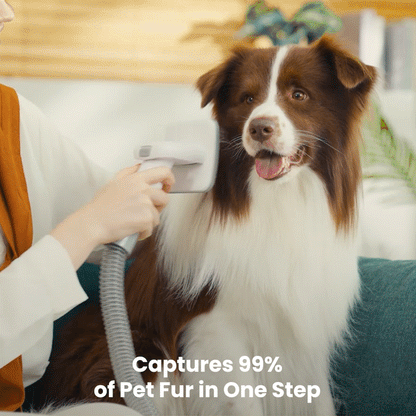 Oneisall LM2 7-in-1 Pet Grooming Vacuum Kit Purple