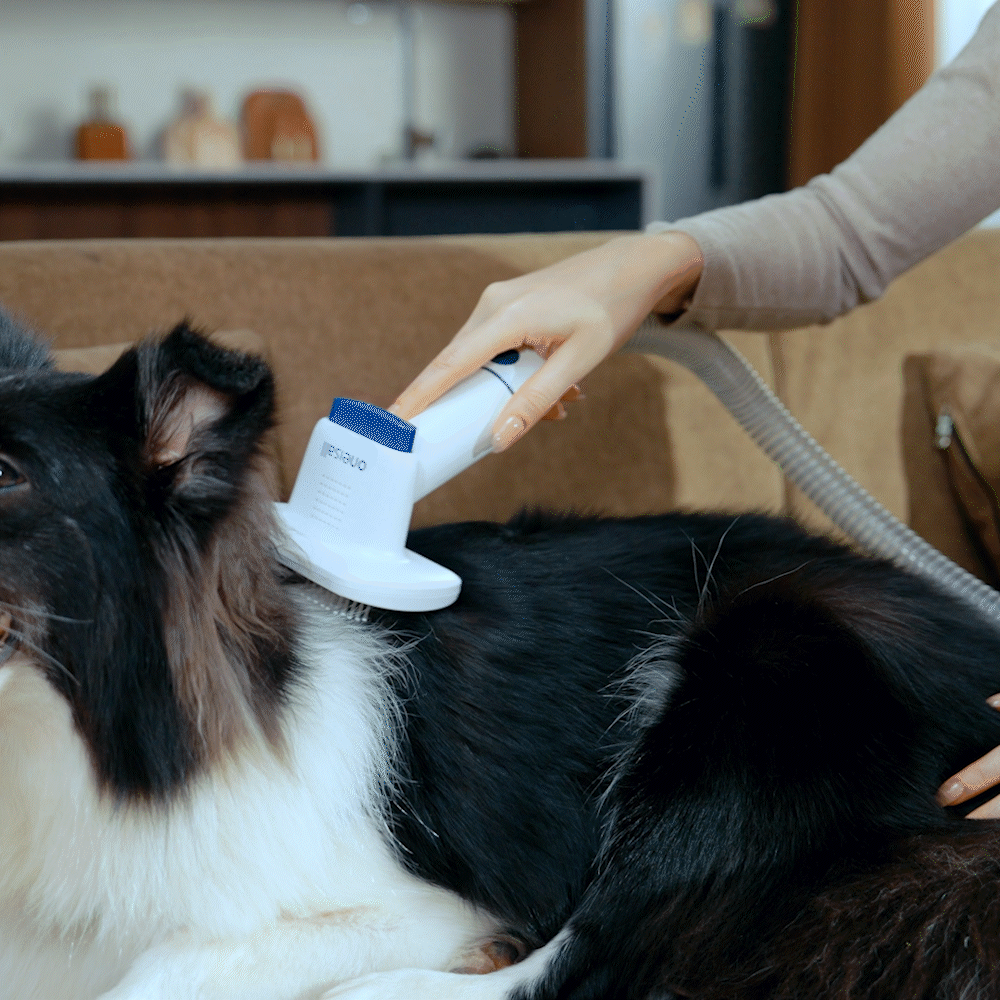 Oneisall Cozy C1/BM1 Pet Grooming Vacuum & Dryer Slicker Brush Replacement