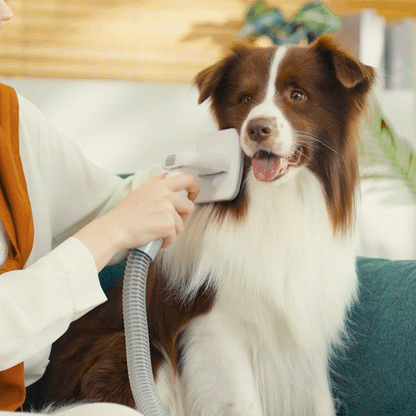 Oneisall LM2 Pet Grooming Vacuum & Grooming Brush & Deshedding Brush Replacement Set