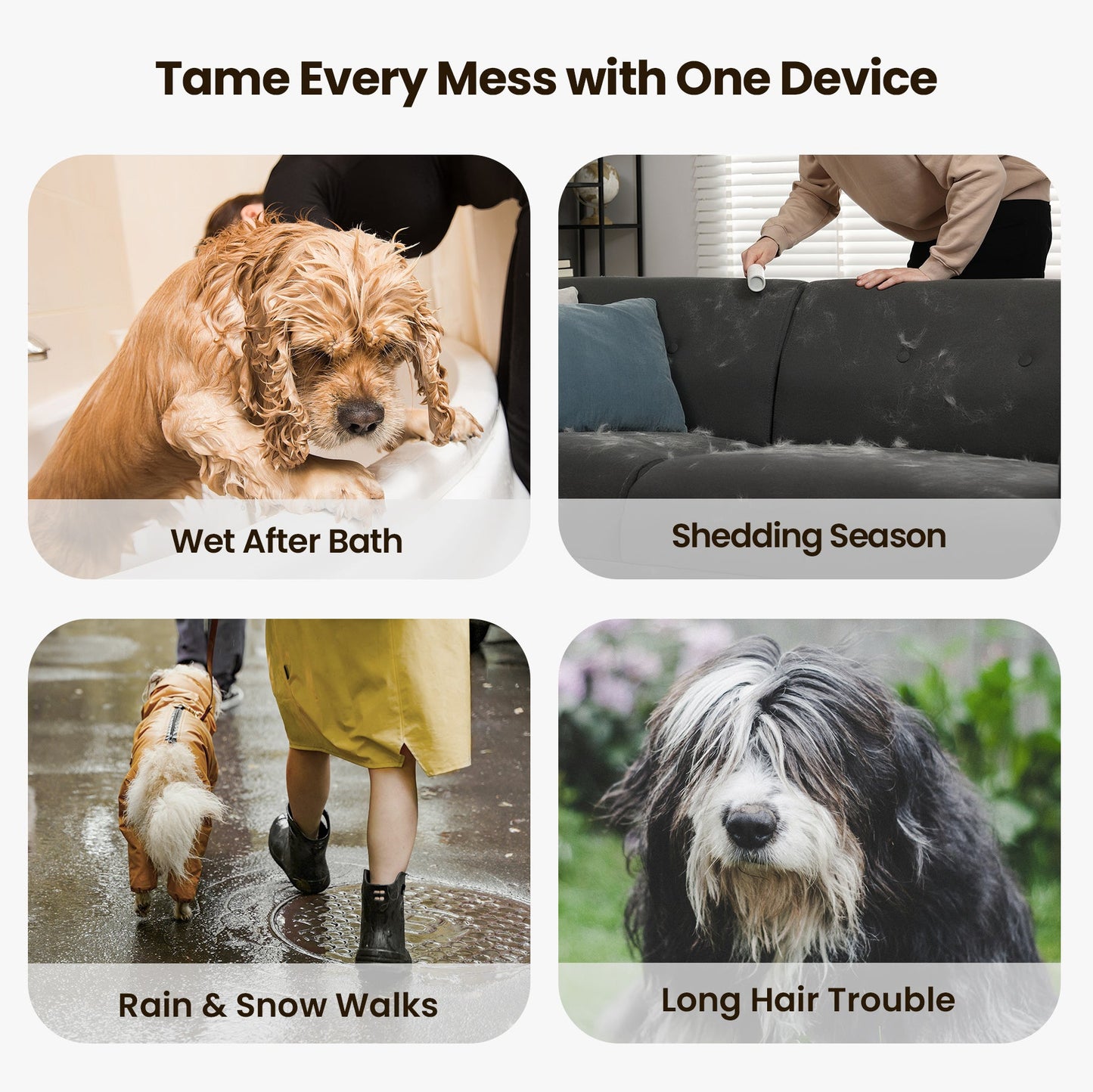 Oneisall Cozy C1 Pet Grooming Vacuum & Dryer Kit & 3 Blades Replacement Set