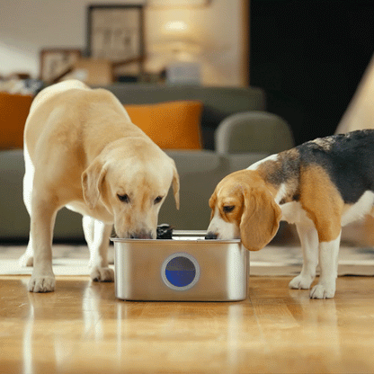 Oneisall 10L Pet Water Fountain for Large Dogs