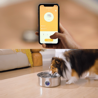 Oneisall 5L Automatic Cat Feeder with APP Control & 7L Pet Water Fountain Set