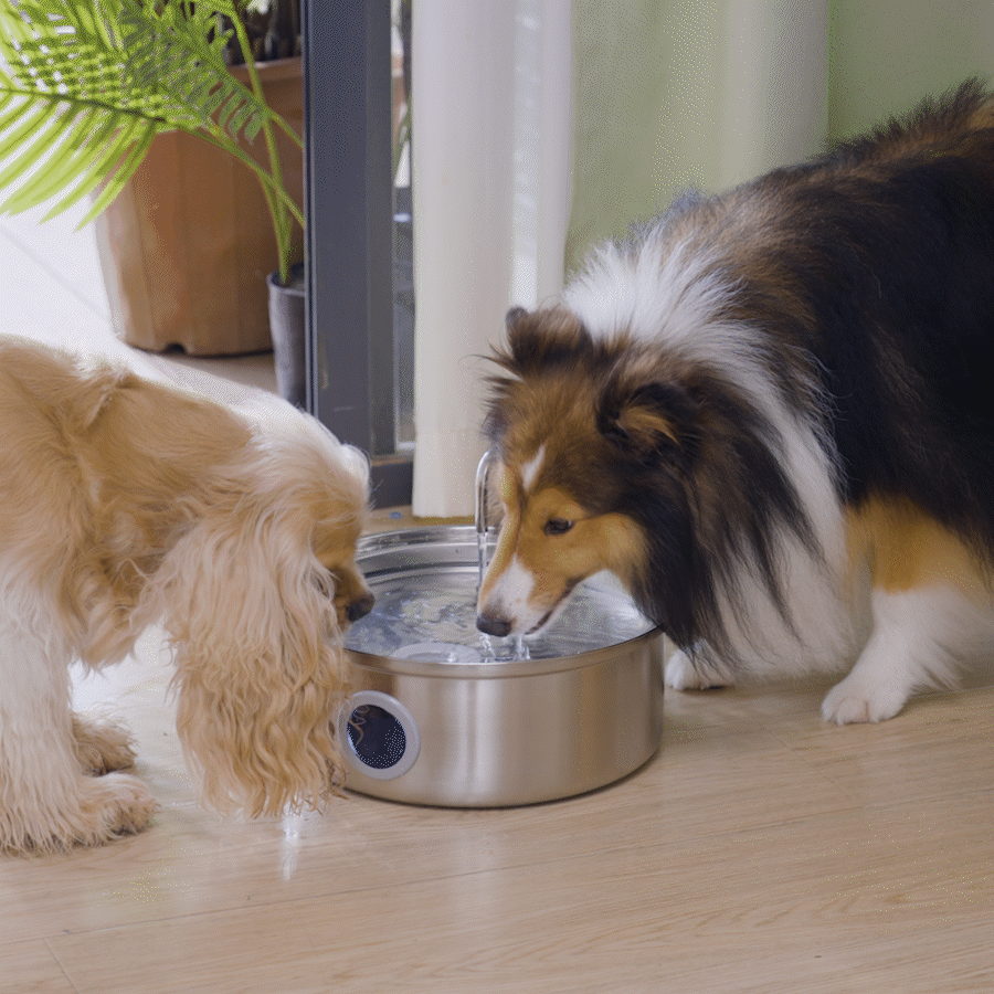 Oneisall 7L Pet Water Fountain with 1.5m Power Cord