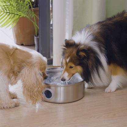 Oneisall 7L Pet Water Fountain with 1.5m Power Cord