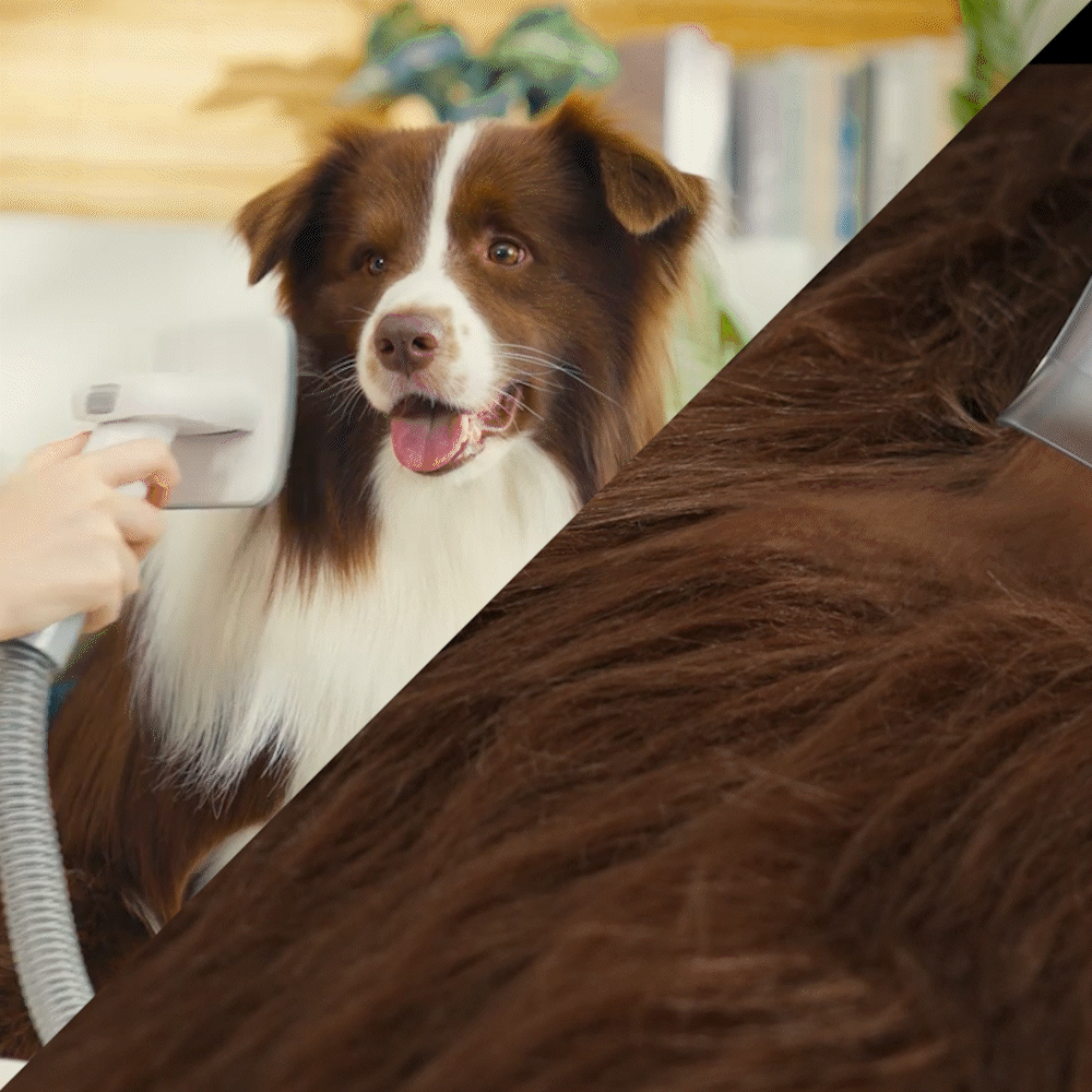 Oneisall LM2 7-in-1 Pet Grooming Vacuum Kit