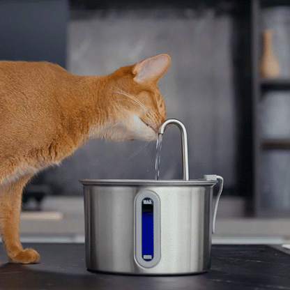 Oneisall 2L Cat Water Fountain with 3PCS Filters