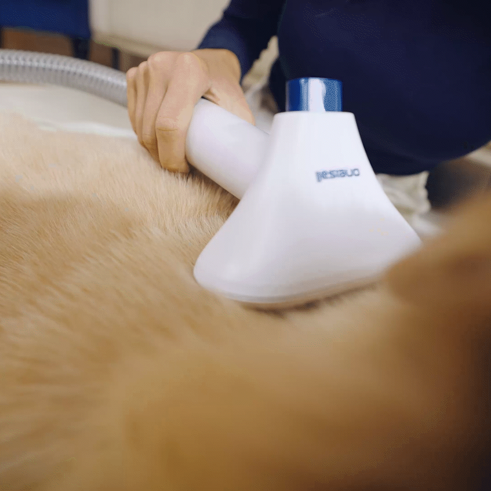 Oneisall Comfy L1 Cordless Pet Grooming Vacuum Kit