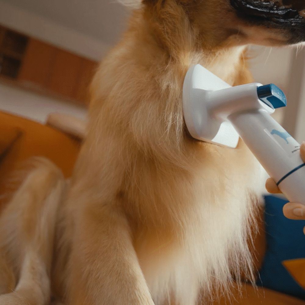 Oneisall BM3 13000Pa Super Strong Suction Dog Grooming Vacuum Kit