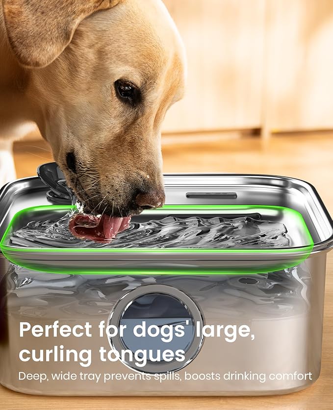 Oneisall 10L Pet Water Fountain with 11 PCS Filters