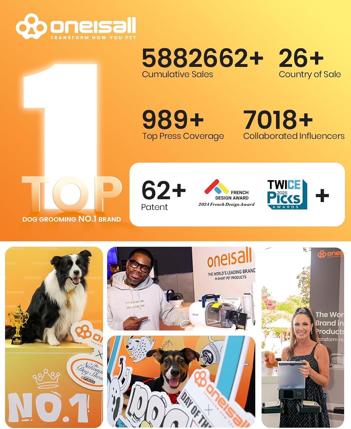 Oneisall 10L Pet Water Fountain with 11 PCS Filters