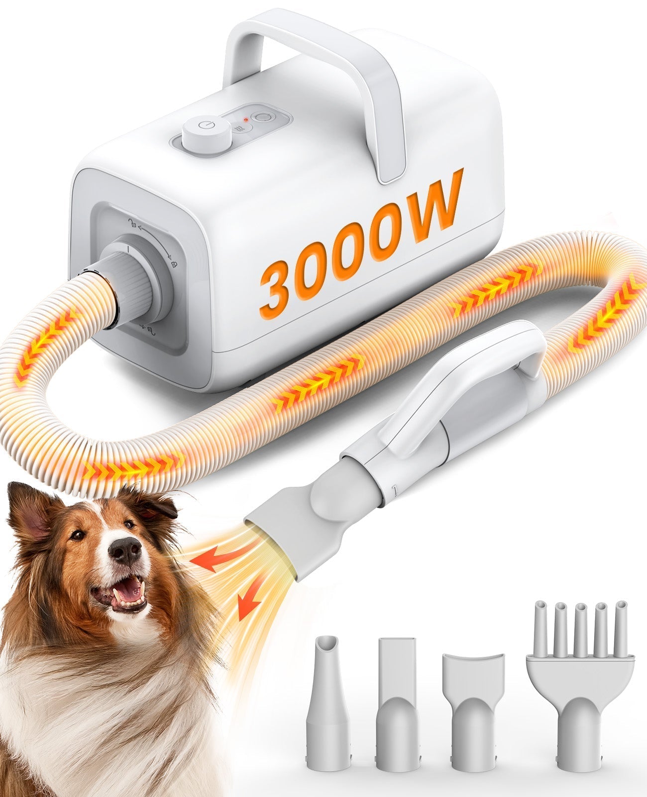 Oneisall MAS 3000W Dog Hair Dryer