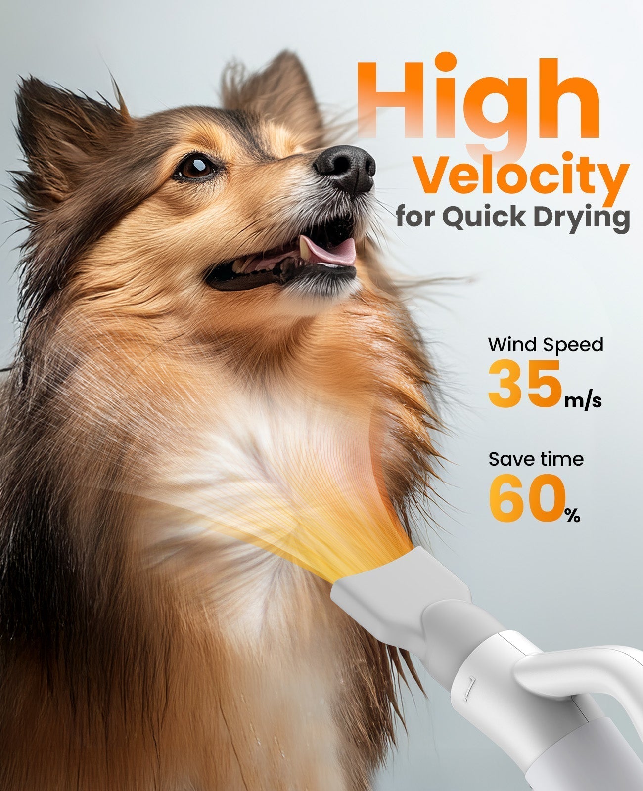 Oneisall MAS 3000W Dog Hair Dryer