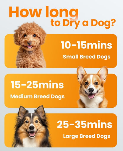 Oneisall MAS 3000W Dog Hair Dryer