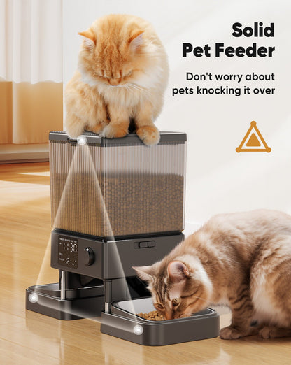 Oneisall 5L Automatic Cat Feeder for Two Cats-Black