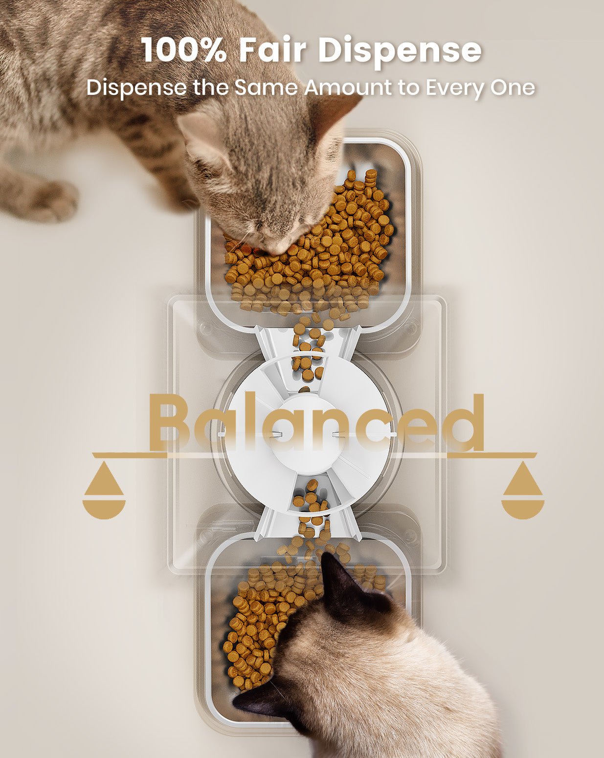 Oneisall 5L Automatic Cat Feeder for Two Cats-Black