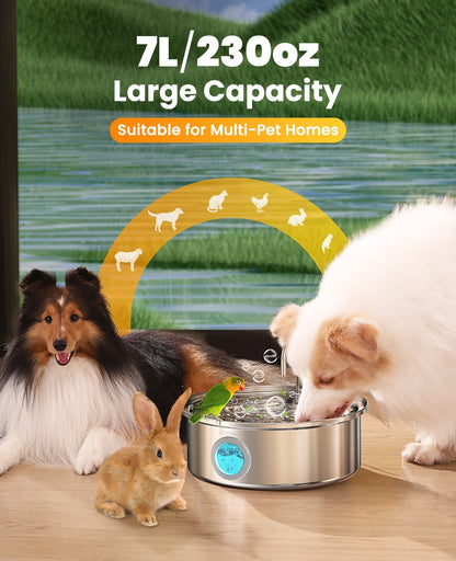 Oneisall 5L Automatic Cat Feeder with APP Control  for Two Cats