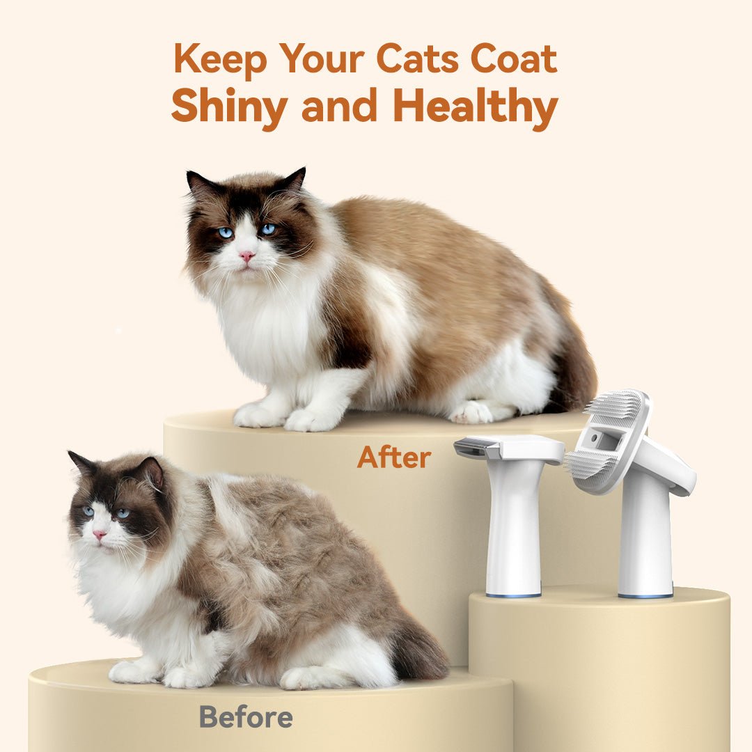 Oneisall LM5C 6-in-1 Cat Grooming Vacuum Kit