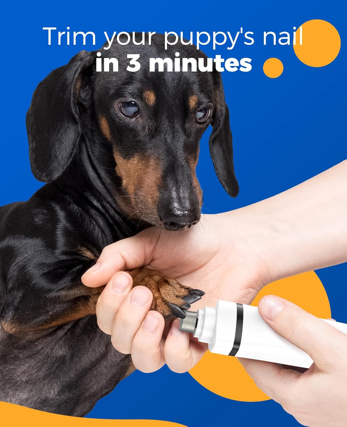 Oneisall N12 4 in 1 Dog Grooming Kit