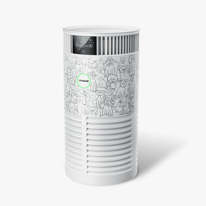 Oneisall PP01 Air Purifier for Pet Hair and Odor