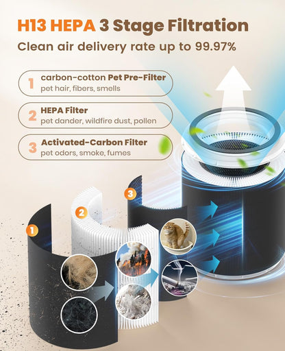Oneisall PP01 Air Purifier for Pet Hair and Odor