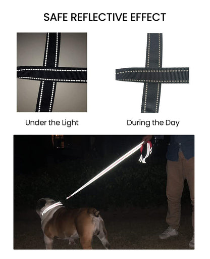 Oneisall Reflective Dog Leash