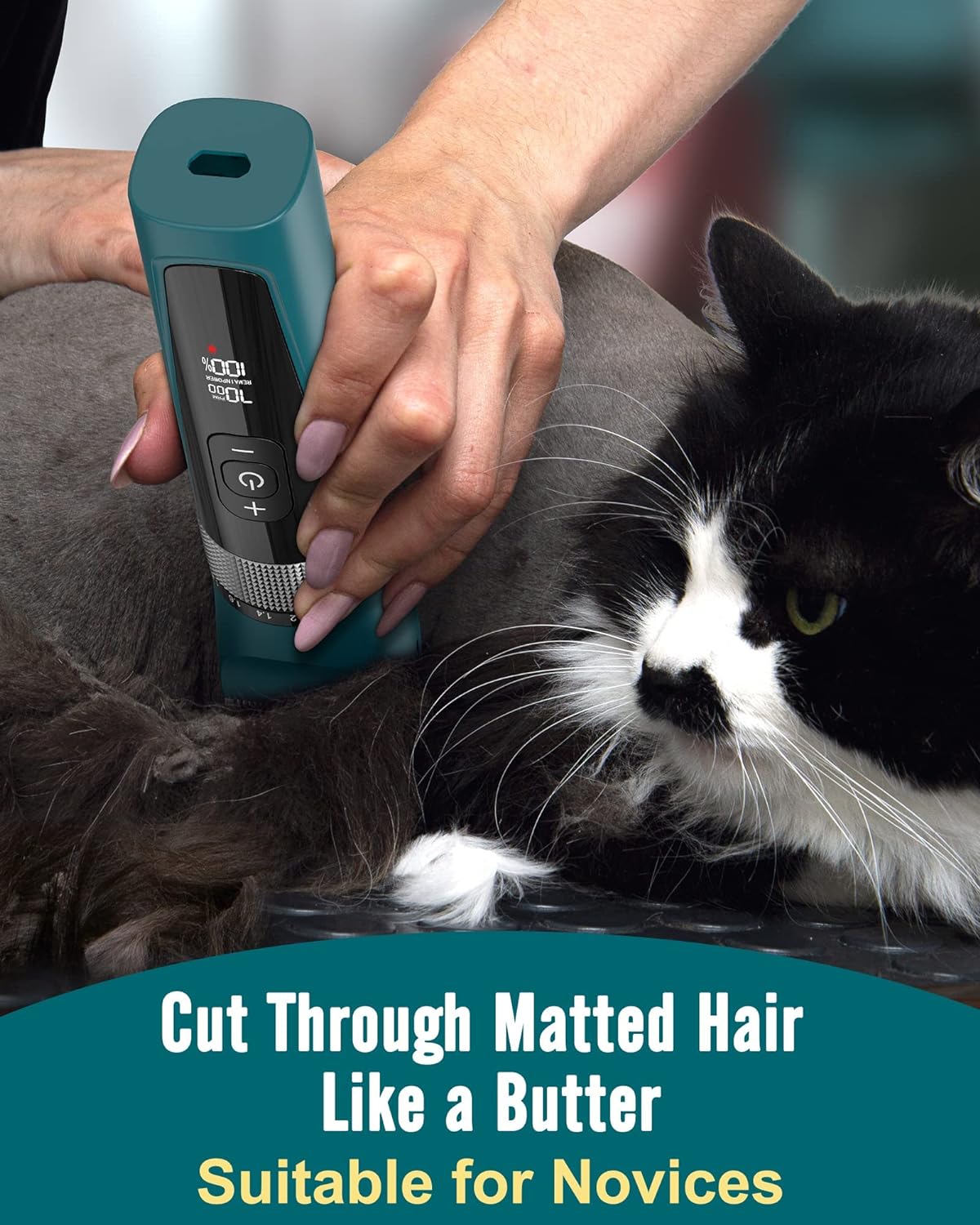Oneisall YP-7268 Cat Clipper 5 Speeds